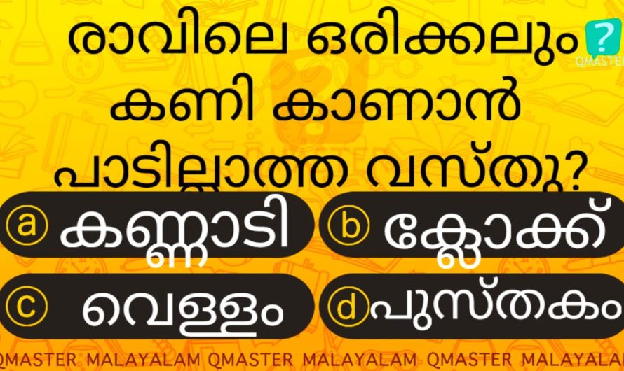 ഈ വസ്തു കണി കണ്ടാൽ ജീവിതം രക്ഷപ്പെട്ടു എന്ന് കരുതിയാൽ മതി