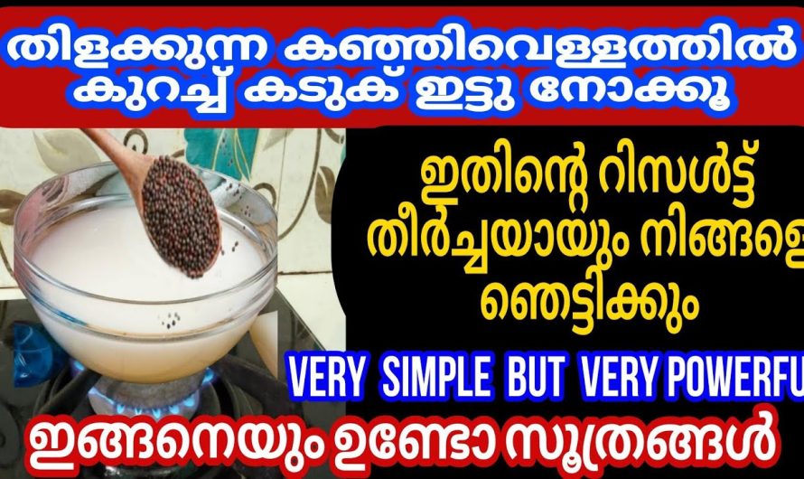 കഞ്ഞി വെള്ളവും കടുകും കൂടി ഞെട്ടിച്ചു കളഞ്ഞു, ഒരു കിടിലൻ സൂത്രങ്ങൾ ഇതാ