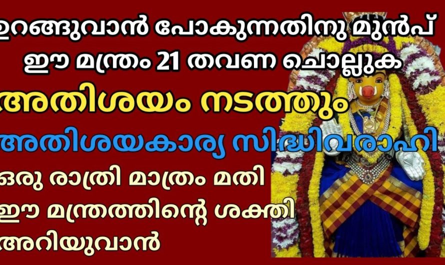 നടക്കില്ല എന്ന് വിചാരിച്ച കാര്യം നടത്തി കാട്ടും വരാഹി ദേവി, രാത്രി വെറും 21 തവണ ഈ മന്ത്രം ജപിക്കുക