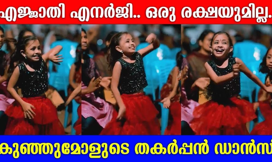 ഒരു രക്ഷയുമില്ല. എജ്ജാതി എനർജി.. കുഞ്ഞു മോൾടെ ഡാൻസ്