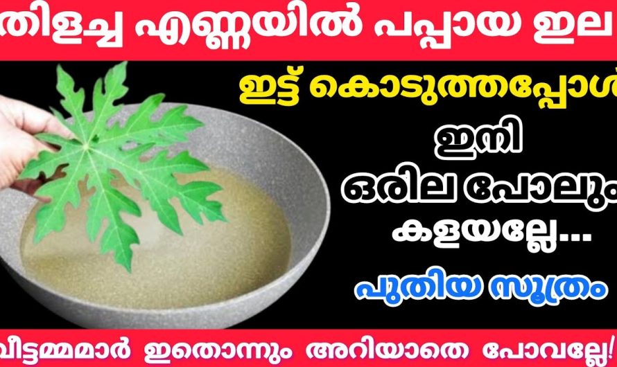 ആരും ഇതുവരെ ചെയ്യാത്ത പുതിയ സൂത്രം! തിളച്ച എണ്ണയിൽ പപ്പായ ഇല ഇട്ടപ്പോൾ സംഭവിച്ചത്