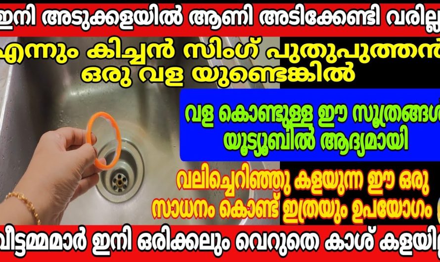 ഇതുപോലൊരു സൂത്രം വള കൊണ്ട് യൂട്യൂബിൽ ആദ്യമായി, വെറുതെ കുറെ പൈസ കളഞ്ഞു ഇത്രയും കാലം