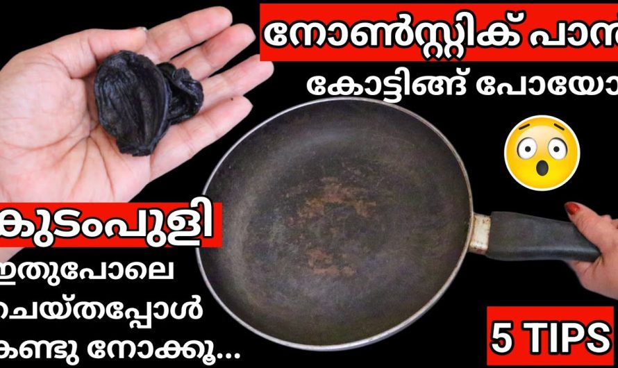 ഞെട്ടിച്ചല്ലോ കുടം പുളി,  ഇങ്ങനെ ചെയ്തു നോക്കൂ കോട്ടിങ് പോയ നോൺസ്റ്റിക് പാൻ ഉണ്ടെങ്കിൽ