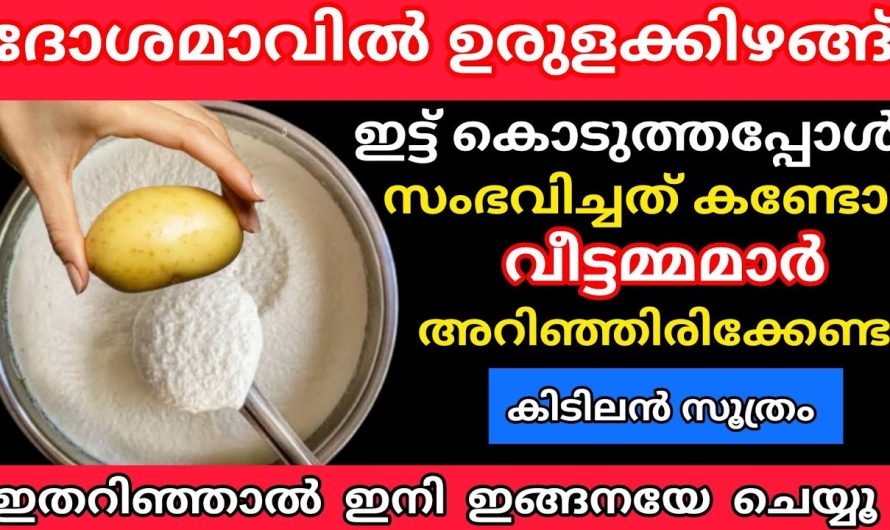 പെട്ടന്ന് ക്ലീനിംഗ് തീർത്ത് വീട്ടമ്മമാർ ശ്രദ്ധിക്കുക ഫ്രീ ആകാൻ ഒരു അടിപൊളി ഐഡിയ,