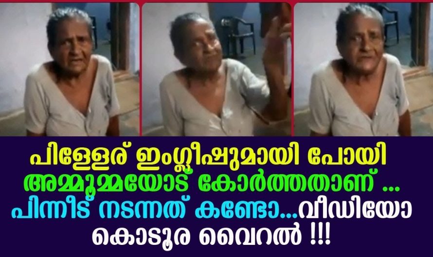 അമ്മൂമ്മയോട് പിള്ളേര് ഇംഗ്ലീഷുമായി പോയി കോർത്തതാണ് , പിന്നീട് നടന്നത് കണ്ടോ !!