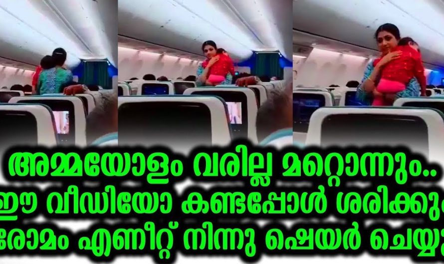 ഈ വീഡിയോ കണ്ടപ്പോൾ ശരിക്കും രോമാഞ്ചം വന്നു അമ്മയോളം വരില്ല  മറ്റൊന്നും