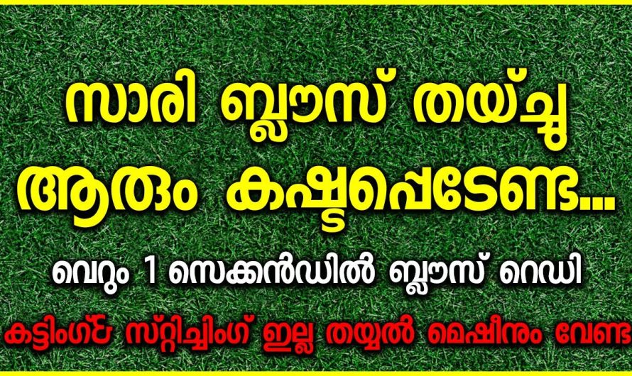 ആരും കഷ്ടപ്പെടേണ്ട.. സാരി ബ്ലൗസ് തയ്ച്ചു വെറും 1 സെക്കൻഡിൽ ബ്ലൗസ് റെഡി