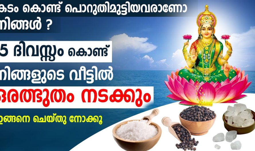 കടം കൊണ്ട് വലയുന്നവരാണോ? കടം മാറി ഐശ്വര്യം ഉണ്ടാകാൻ ഇങ്ങനെ ചെയ്തു നോക്കൂ