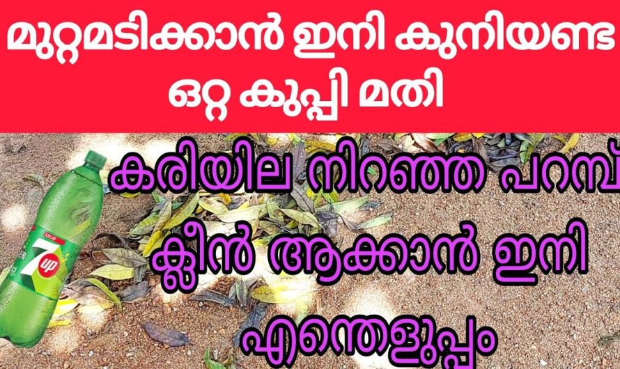 മുറ്റമടിക്കാൻ ചൂൽ വേണ്ട, കുനിയണ്ട ഇതുണ്ടെങ്കിൽ