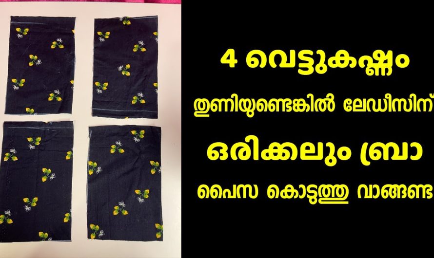 ലേഡീസിന് ഒരിക്കലും ബ്രാ പൈസ കൊടുത്തു വാങ്ങണ്ട, 4 വെട്ടുകഷ്ണം തുണിയുണ്ടെങ്കിൽ