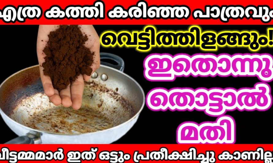 ഇതൊന്നു തൊട്ടാൽമതി! എത്ര കരിഞ്ഞപാത്രവും വെട്ടിത്തിളങ്ങും വീട്ടമ്മമാരുടെ കണ്ണുതള്ളുന്ന സൂത്രങ്ങൾ