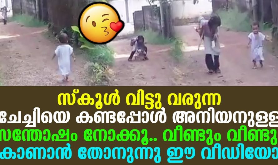 അനിയനുള്ള സന്തോഷം സ്കൂൾ വിട്ടു വരുന്ന ചേച്ചിയെ കണ്ടപ്പോൾ വീണ്ടും വീണ്ടും കാണാൻ തോനുന്നു ഈ വീഡിയോ