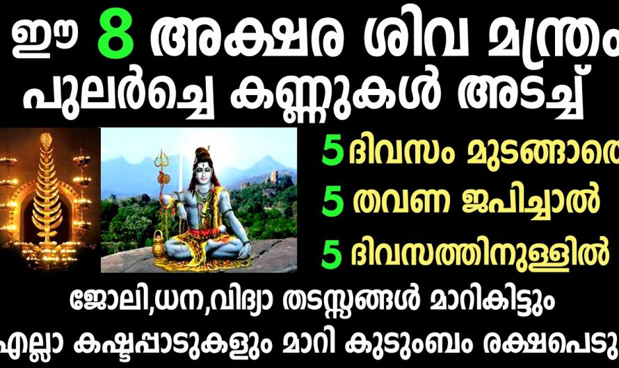 ഈ അഷ്ടാക്ഷര ശിവ മന്ത്രം സൂര്യോദയത്തിനു മുൻപ്  ജപിച്ചാൽ അസാധ്യമായി ഒന്നുമില്ല