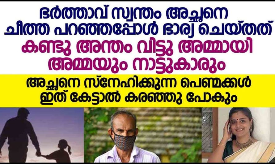 ഭർത്താവ് സ്വന്തം അച്ഛനെ ചീത്ത പറഞ്ഞപ്പോൾ ഭാര്യ ചെയ്തത് കണ്ടോ? കയ്യടിച്ച് അമ്മായിയമ്മ