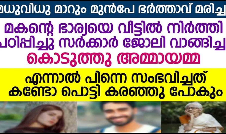 അമ്മായമ്മ മകൻ മരിച്ചപ്പോൾ മകന്റെ ഭാര്യയോട് ചെയ്തത് കണ്ടാൽ പൊട്ടി കരഞ്ഞു പോകും