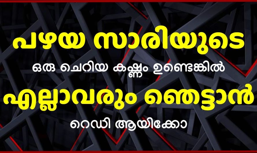 എല്ലാവരും ഞെട്ടാൻ റെഡി ആയിക്കോ, പഴയ സാരിയുടെ ഒരു ചെറിയ കഷ്ണം മതിയാകും