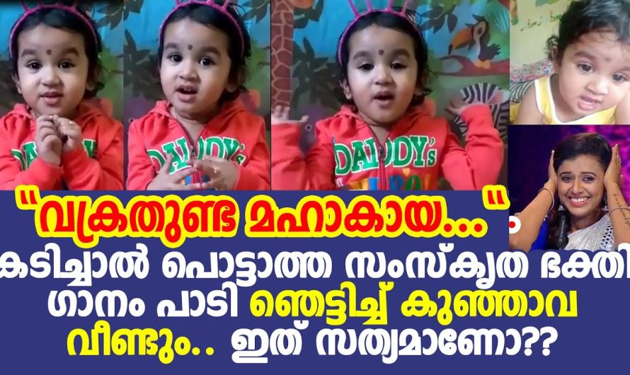 വീണ്ടും സോഷ്യല്‍മീഡിയയെ ഞെട്ടിച്ചു പാട്ടുപാടി വൈറലായ പൊടിക്കുഞ്ഞ്, കേട്ട് നോക്കൂ