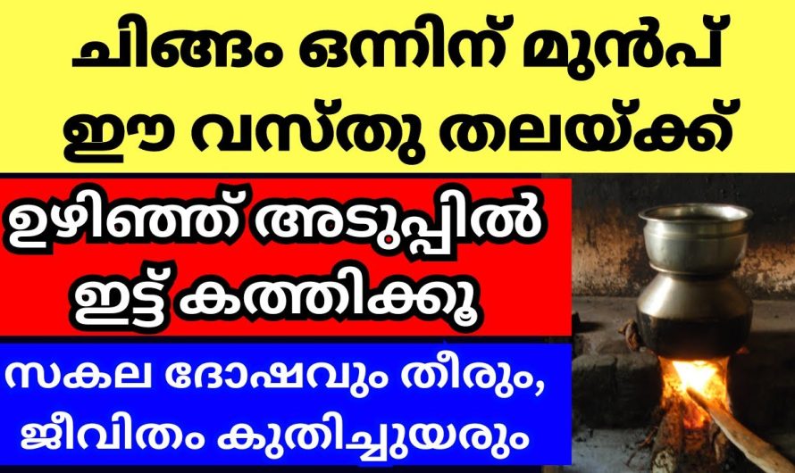 അടുപ്പിൽ ഇടൂ ചിങ്ങം പിറക്കുന്നതിന് മുൻപ് ഈ 2 വസ്തു തലയ്ക്ക് ഉഴിഞ്ഞ് , പുതുവർഷം സകല ഐശ്വര്യവും തേടിവരും