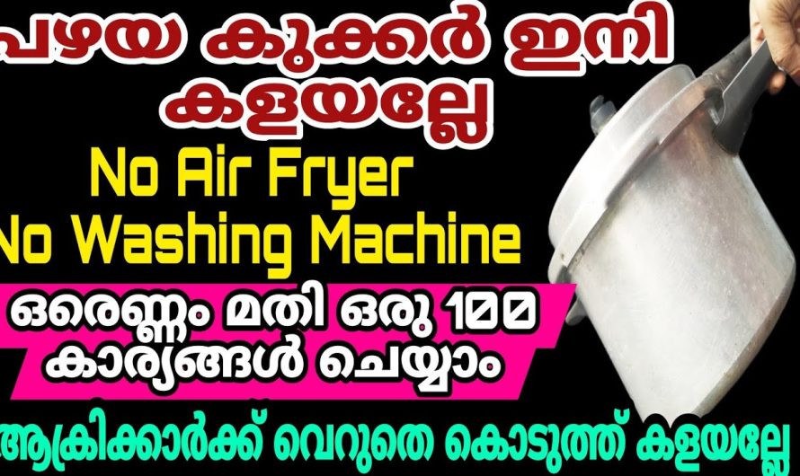 ഇത്രയും കാലം അറിയാതെ പോയല്ലോ, വീട്ടിലുണ്ടോ പഴയ കുക്കർ 100 കാര്യങ്ങൾ ചെയ്യാം