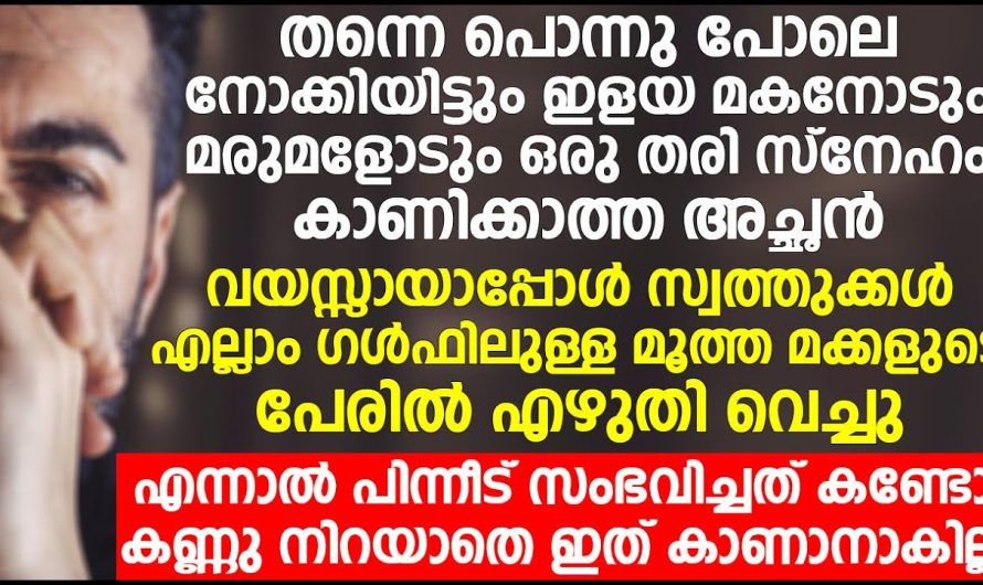 പ്രായമായപ്പോൾ സ്വത്തുക്കളെല്ലാം മൂത്തമകളുടെ പേരിൽ എഴുതിവെച്ചു അച്ഛനെ നോക്കിയ ഇളയ മകൻ പുറത്ത് എന്നാൽ പിന്നീട് സംഭവിച്ചത് കണ്ടു