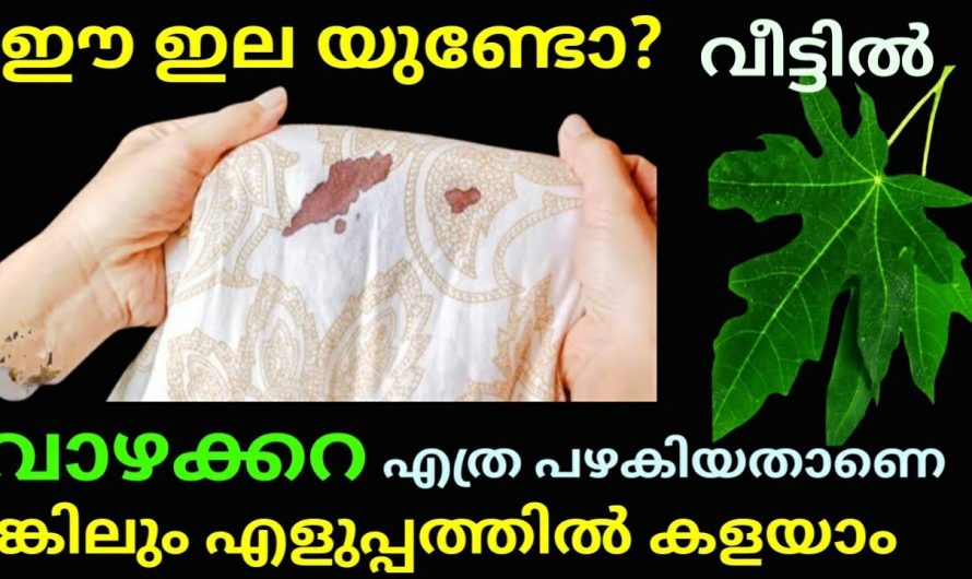 എത്ര പഴകിയതാണെങ്കിലും എളുപ്പത്തിൽ കളയാം ഈ ഇലയുണ്ടോ? നല്ല കിടിലൻ ടിപ്സ്