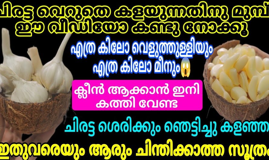 നിമിഷനേരം കൊണ്ട് എത്ര കിലോ വെളുത്തുള്ളിയും മീനും ക്ലീൻ ആക്കാം