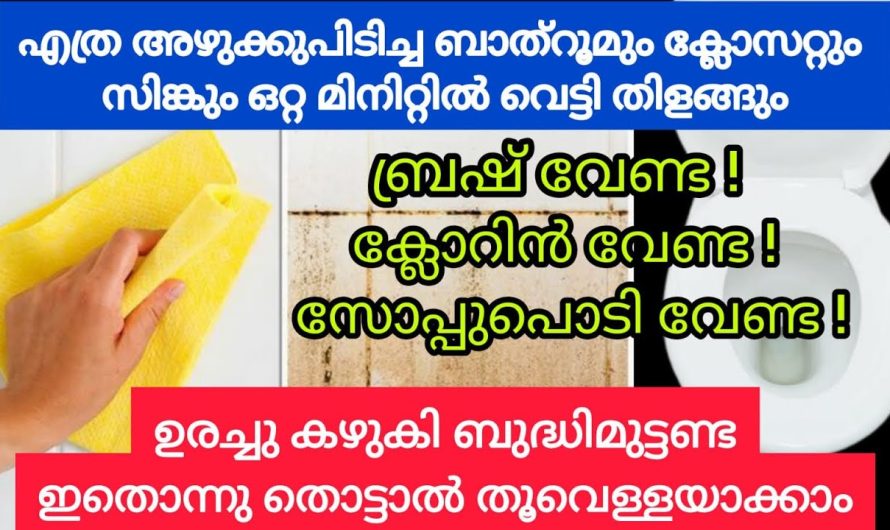 ഒറ്റ മിനിറ്റിൽ എത്ര അഴുക്കുപിടിച്ച ബാത്റും ടൈലും,ക്ലോസറ്റും പുതിയത് പോലെ ആക്കാം