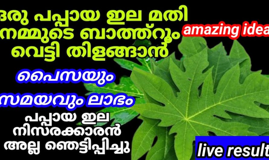 വീട് മുഴുവൻ വെട്ടി തിളങ്ങാൻ ഒരു പപ്പായ ഇല മാത്രം മതി, പപ്പായ ഇല നിസ്സാരക്കാരൻ അല്ല