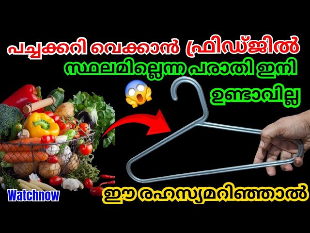 ഇനി ഇഷ്ടംപോലെ സ്ഥലം കിട്ടും പച്ചക്കറി വെക്കാൻ ഫ്രിഡ്ജിൽ