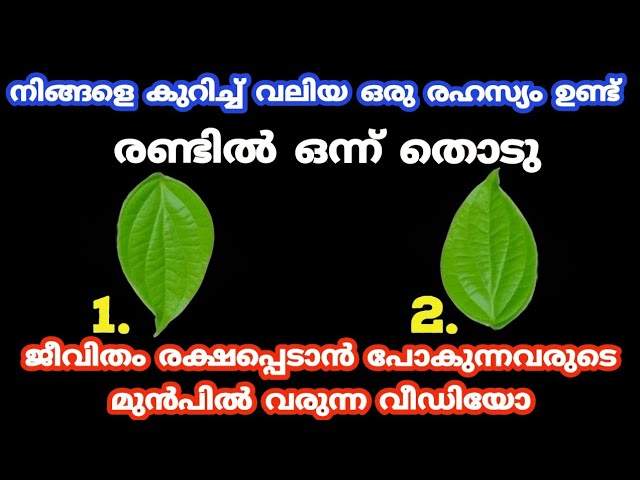 ജീവിതം രക്ഷപ്പെടാൻ പോകുന്നവർക്ക് മാത്രം കാണുന്ന വീഡിയോ