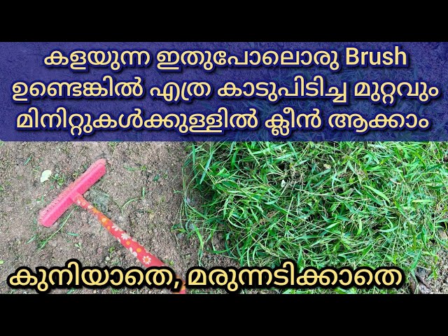 കാടുപിടിച്ച മുറ്റം ക്ലീൻ ആക്കാം കളയുന്ന ഇതുപോലൊരു ബ്രഷ് മതി കെമിക്കൽ ഇല്ലാതെ തന്നെ