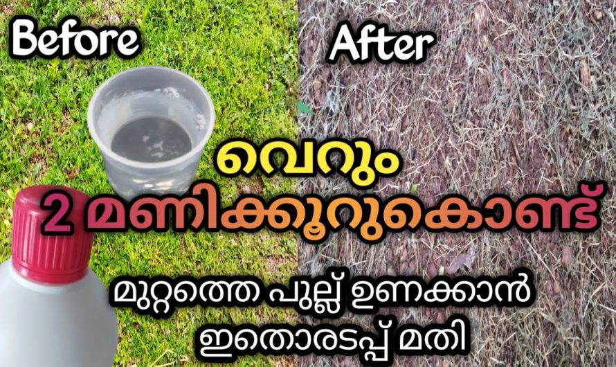 ഇങ്ങനെ ചെയ്യൂ, പുല്ല് പറിച്ചു ഇനി ബുദ്ധിമുട്ടണ്ട