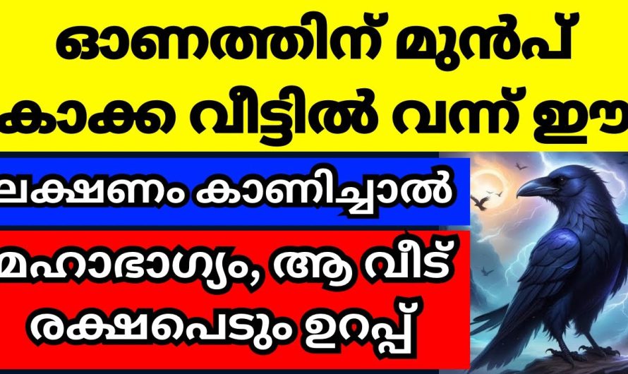 വീട്ടിൽ ഓണത്തിന് മുൻപ് കാക്ക വന്ന് ഈ ലക്ഷണം കാണിച്ചാൽ ഉറപ്പിച്ചോള്ളൂ നല്ലകാലം പിറക്കാൻ പോകുന്നു