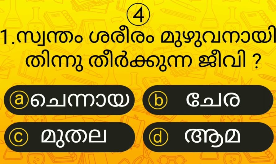 ശരീരത്തെ മുഴുവനായും തിന്നുന്ന ജീവി