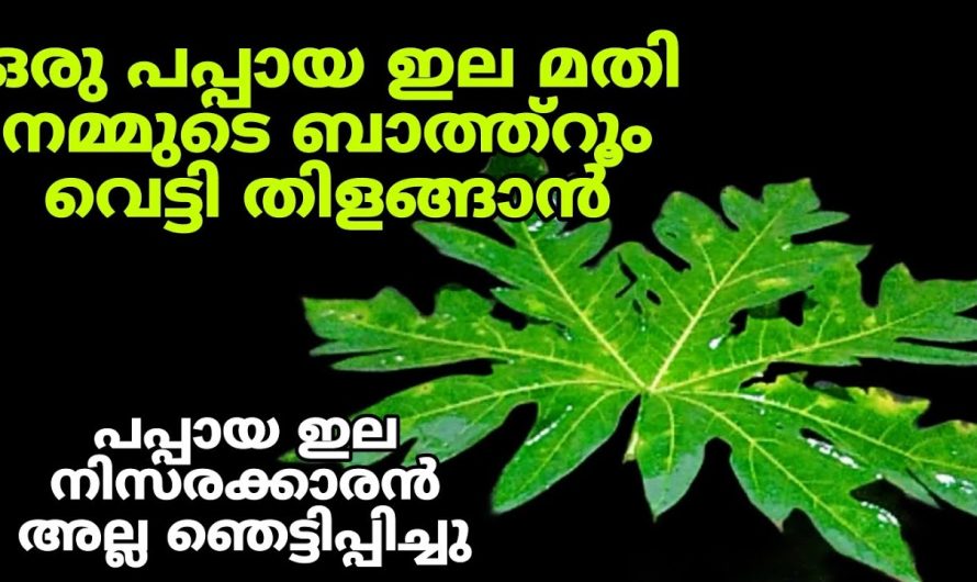 ബാത്ത്റൂം പപ്പായ ഇല കൊണ്ട് ക്ലീൻ ചെയ്തു നോക്കൂ ഞെട്ടിപ്പോവും