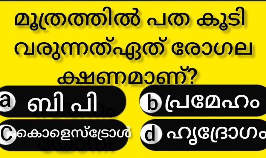 ചോദ്യങ്ങളും അവയുടെ ഉത്തരങ്ങളും അറിയാതെ പോകല്ലേ