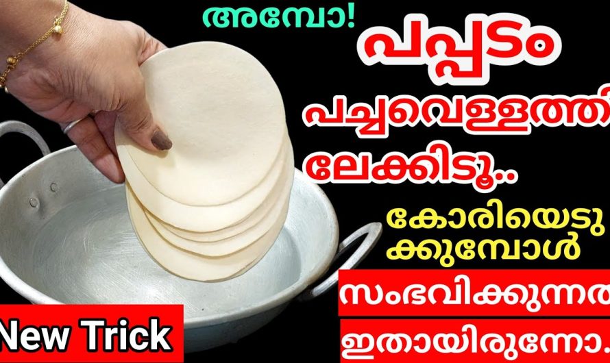 ഞെട്ടിപ്പോയി പപ്പടം ഇങ്ങനെ ചെയ്തപ്പോൾ, എത്ര ടൈം കളഞ്ഞു ഈ കാര്യം അറിയാതെ