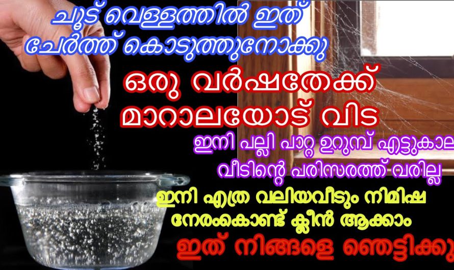 ഇത്‌ ചേർത്തുനോക്കൂ ചൂട് വെള്ളത്തിലേക്ക് ഇനി ഒരു വർഷത്തേക്ക് മാറാലയോട് വിട