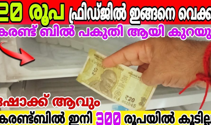 ഒരു 20 രൂപ നോട്ട് മാത്രം മതി കരണ്ട് ബിൽ 300 രൂപയിൽ കൂടില്ല, അറിയാതെ പോയ രഹസ്യം