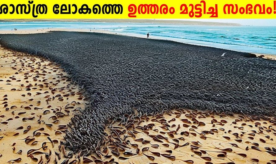 ശാസ്ത്ര ലോകത്തെ പിടിച്ചു കുലുക്കിയ സംഭവങ്ങൾ