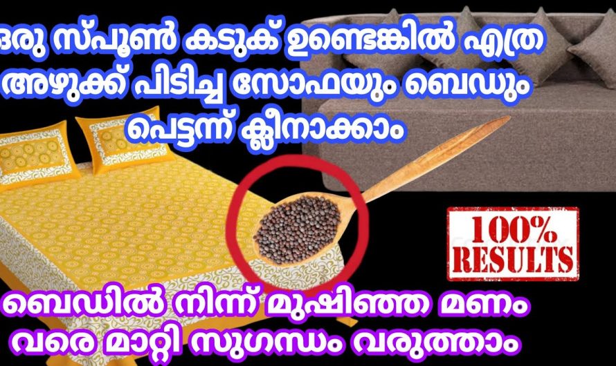 എത്ര അഴുക്കുപിടിച്ച സോഫയും ബെഡും ചീത്ത മണം മാറ്റി ക്ലീൻ ആക്കാം, ഒരു സ്പൂൺ കടുകുണ്ടെങ്കിൽ