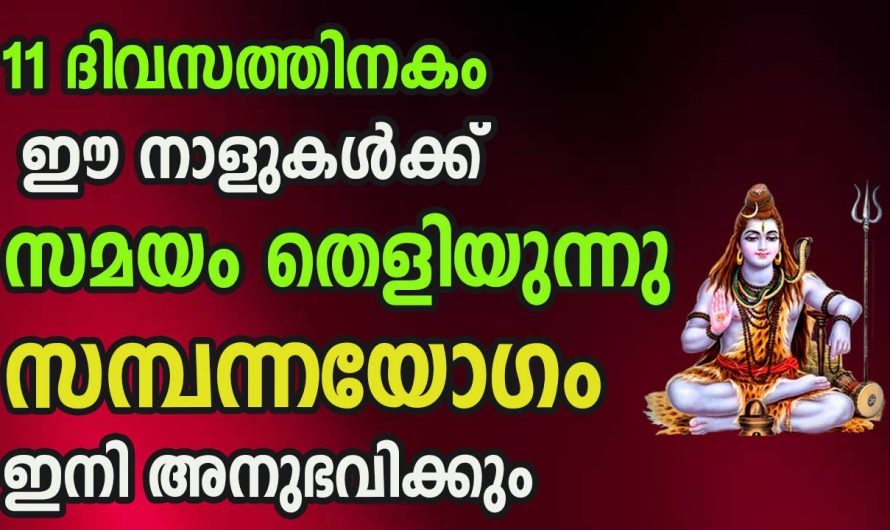 ഈ നാളുകൾക്ക് 11 ദിവസത്തിനകം സമയം തെളിയുന്നു , ഇനി സമ്പന്നയോഗം അനുഭവിക്കും