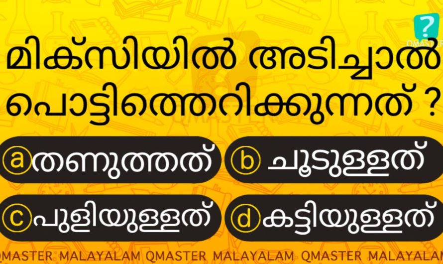 അടിക്കരുതേ ഇത് മിക്സിയിൽ