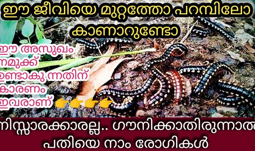 ഇവരെ അറിഞ്ഞിരിക്കൂ പതിയെ അസുഖം പരത്തുന്ന അപകടകാരികളാണിവർ ‼️