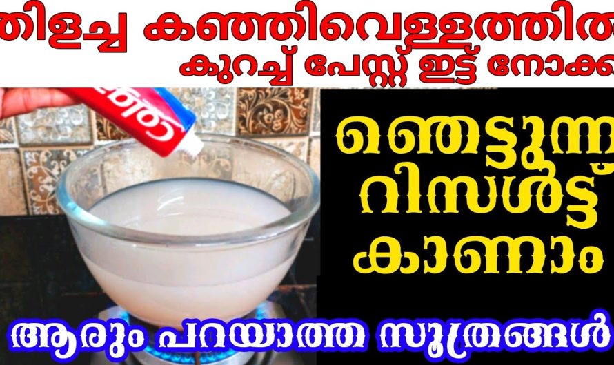 വെറുതേ കളയുന്ന ഇടിവെട്ട് കഞ്ഞിവെള്ളംകൊണ്ട് സൂത്രങ്ങൾ കണ്ടോളൂ