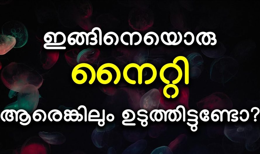 ആരെങ്കിലും ഉടുത്തിട്ടുണ്ടോ? ഇങ്ങിനെയൊരു നൈറ്റി