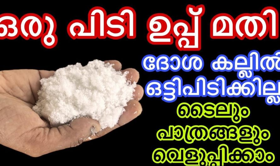 ടൈലും പാത്രങ്ങളും വെളുപ്പിക്കാം, ഒരു പിടി ഉപ്പ് മതി ദോശ കല്ലിൽ ഒട്ടിപിടിക്കില്ല