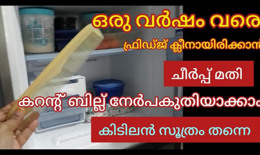 ഫ്രിഡ്ജിൽ ഇങ്ങനെ ചെയ്തു നോക്കു നേർപകുതിയാവും കറന്റ്‌ ബില്ലും