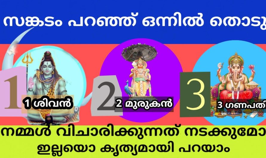 എപ്പോൾ നടക്കും മനസ്സിലെ ആഗ്രഹം നടക്കുമോ?  ! കൃത്യമായി അറിയാൻ കഴിയും