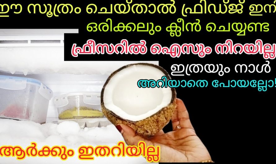 ഇത്രയും നാൾ ഫ്രിഡ്ജ് ഉണ്ടായിട്ടും ഇനി ഒരിക്കലും ഫ്രിഡ്ജ് ക്ലീൻ ചെയ്യണ്ട കാര്യം ഇതറിഞ്ഞില്ലല്ലോ